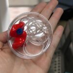 Protectores auditivos para evitar ingreso de agua