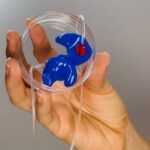 Protectores auditivos para natación